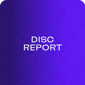 Large blue tab labelled DiSC Report (Workplace Profile).