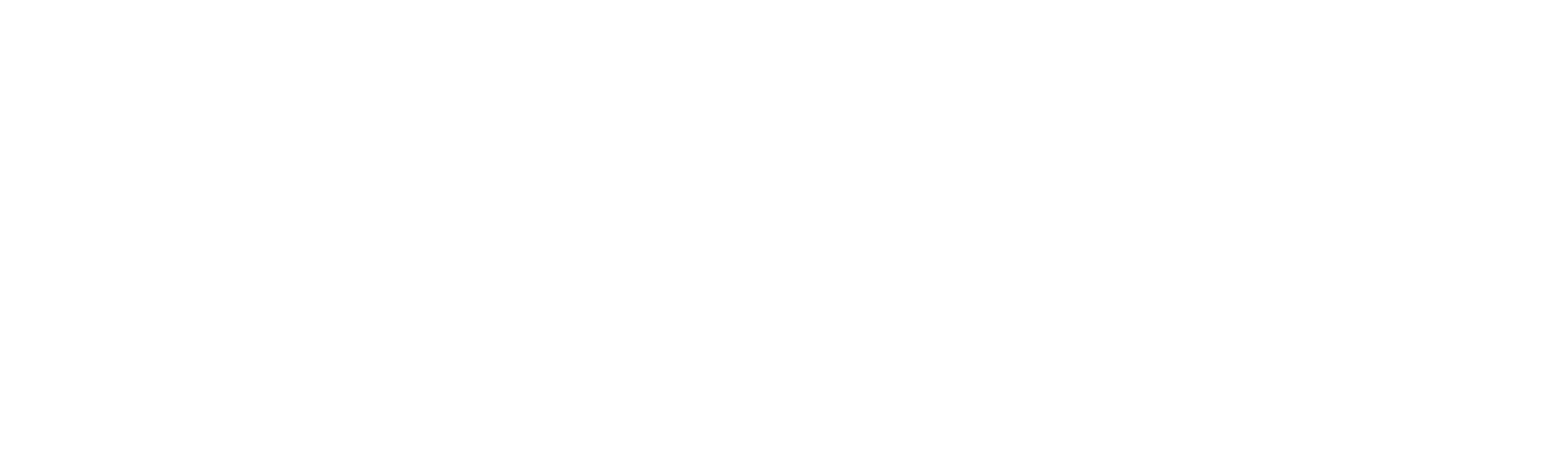 Accipio One logo in white.