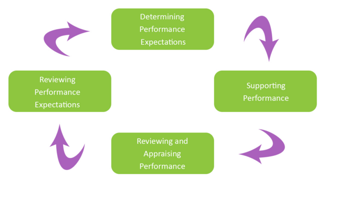 Performance Management Sequence Models | Accipio